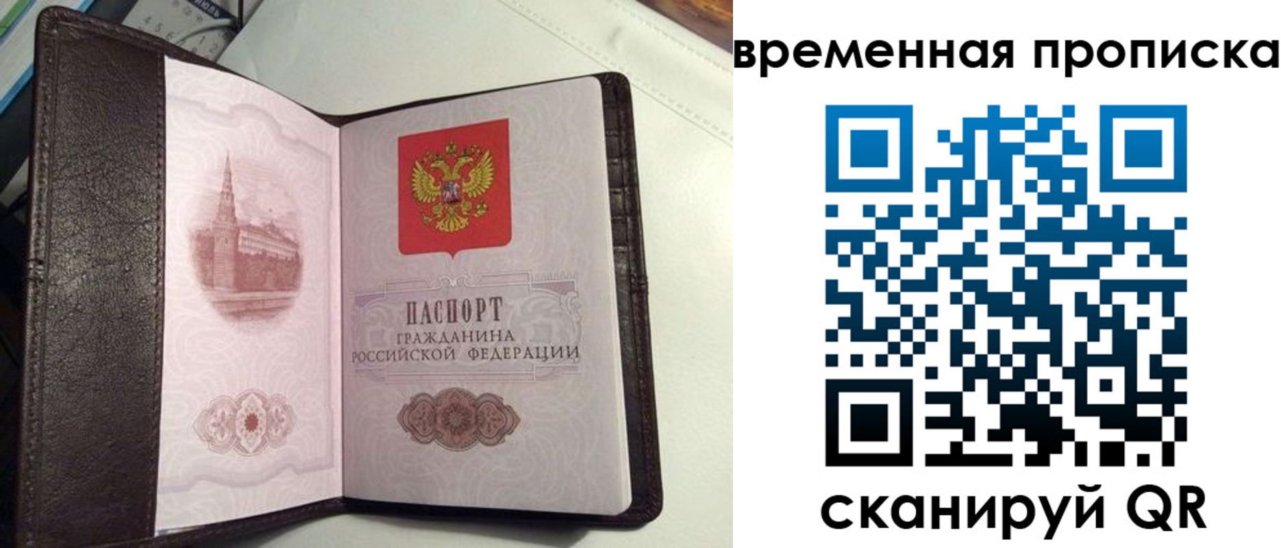 прописка 2025 в Гвардейске